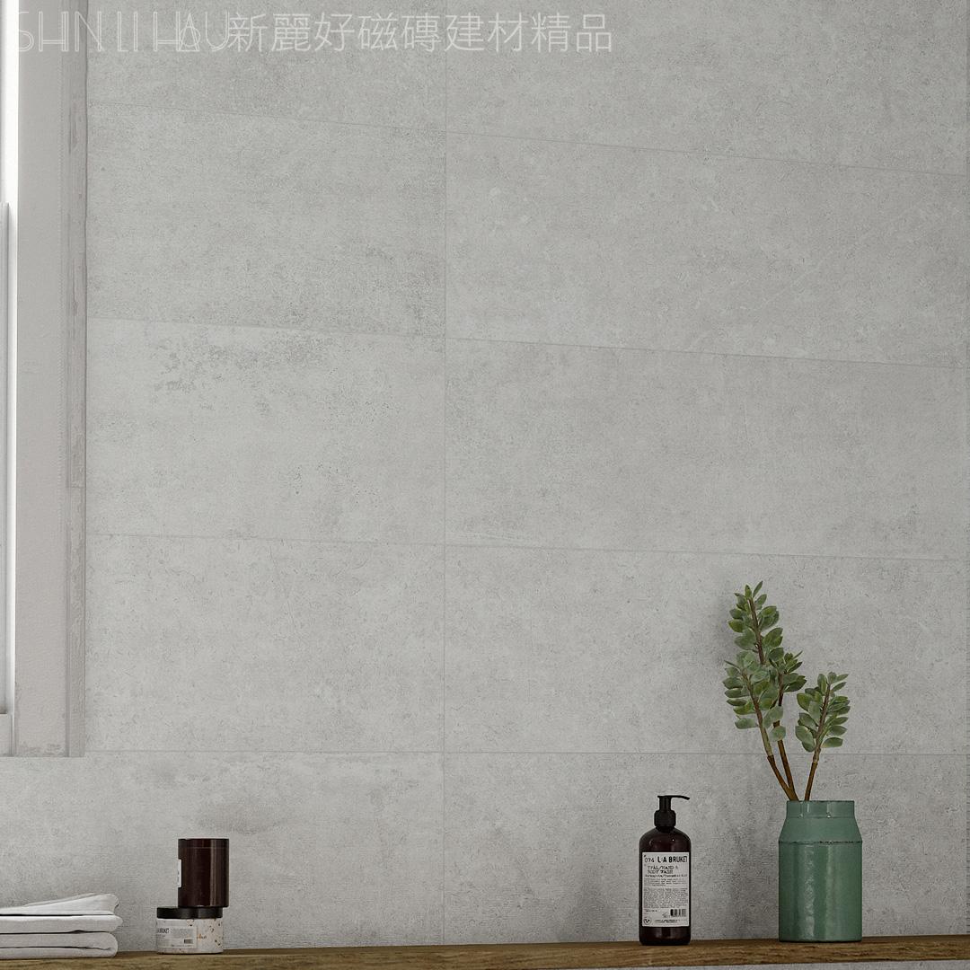 板岩壁磚-洛斯特-淺灰、淺灰花詳樣式圖