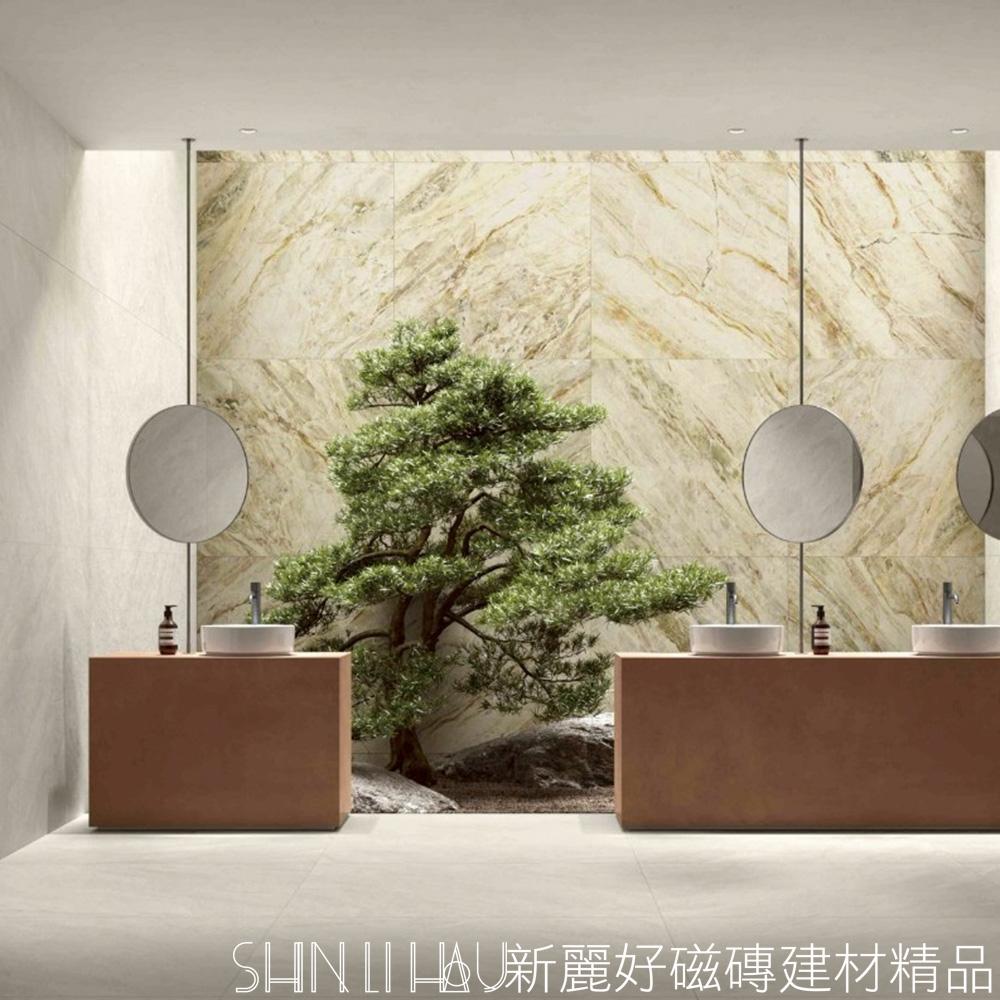 【特價每坪3780元】義大利卡帕多石材磚-灰白N809JDC36R83080120灰白