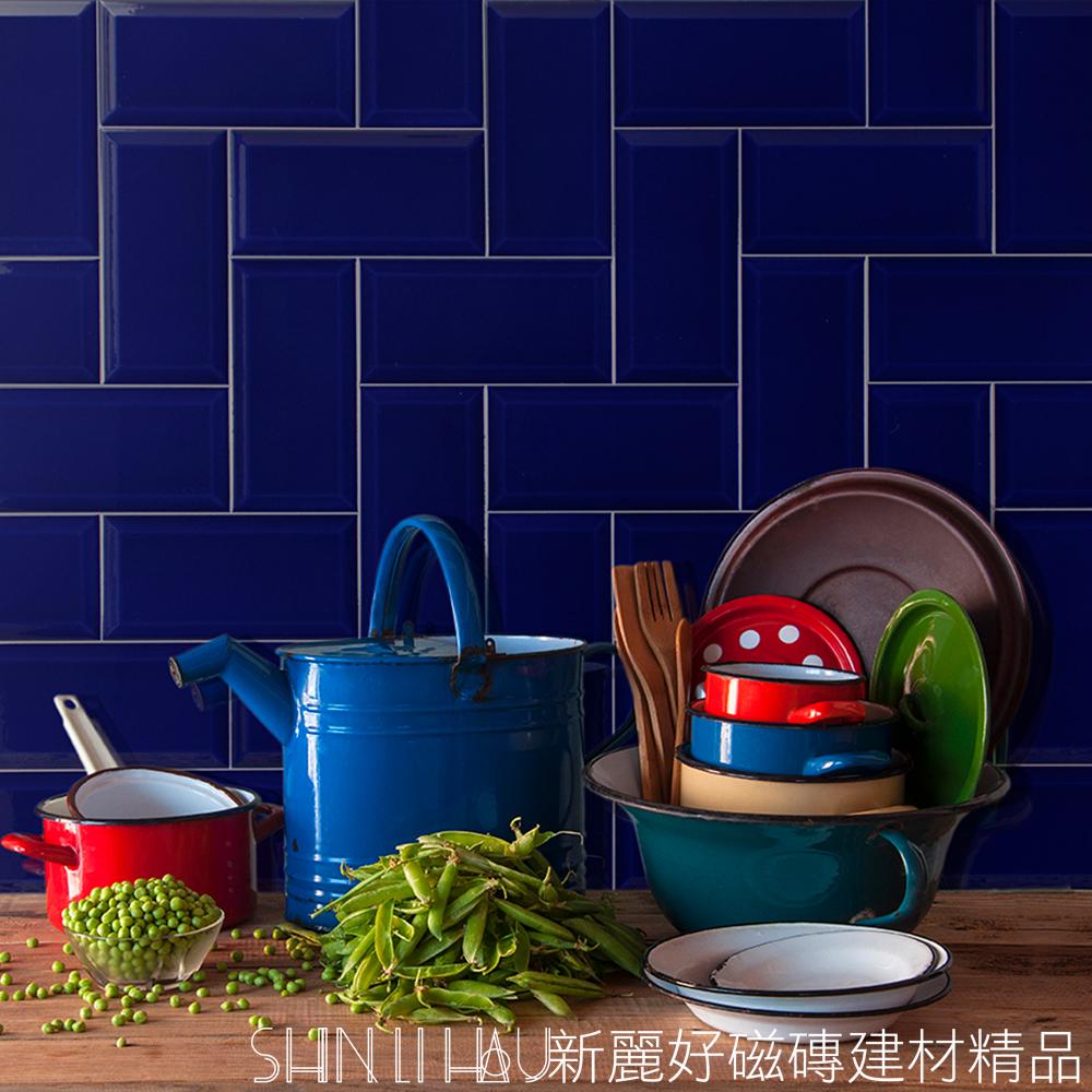 【特價每坪2430元】古典地鐵花磚特價-博柏麗立體亮面磚-古典花磚B999MFA10978F20100