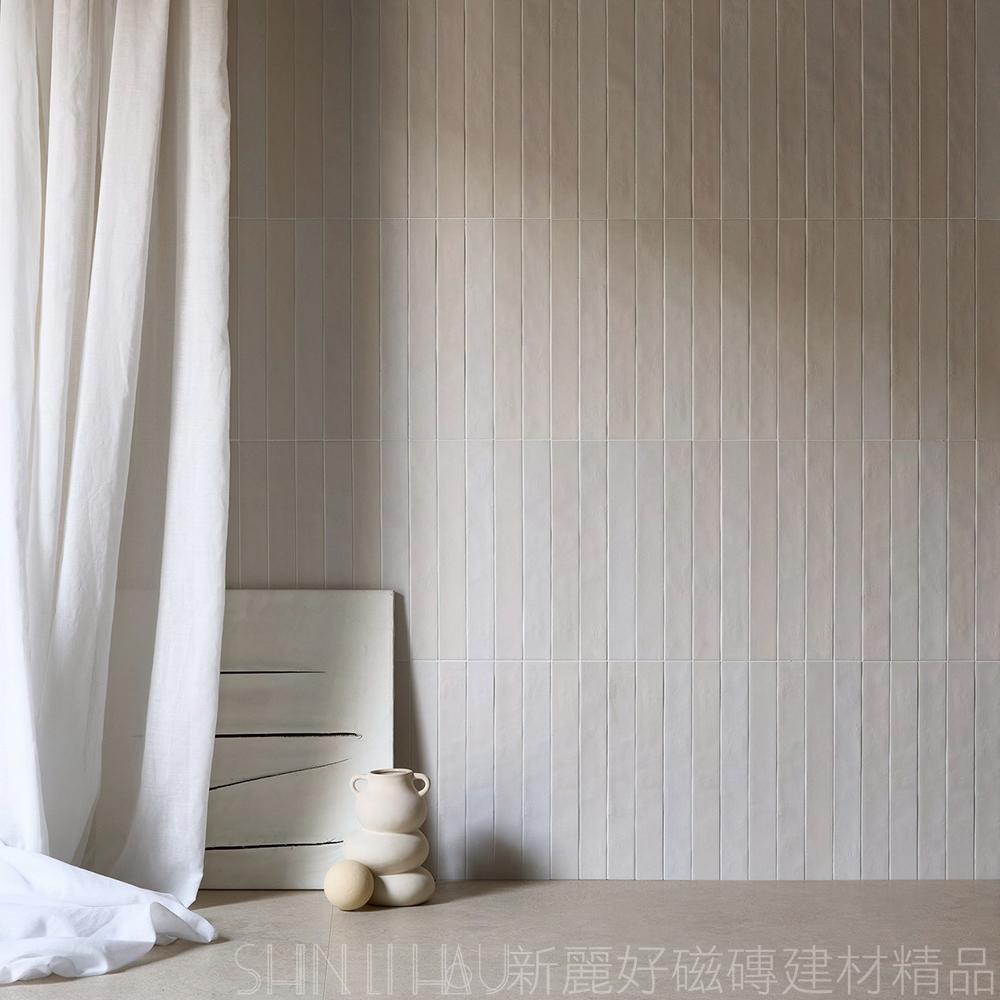 諾瑪・色序 Neo｜留白 White商空牆磚 5×38｜霧面設計細長磚E306EE46425134500