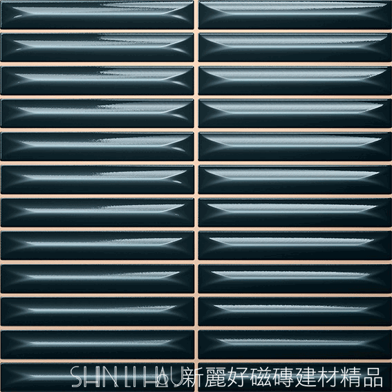 夜藍C309CR2290250067