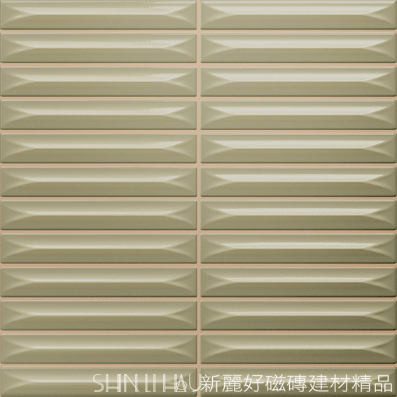 橄欖綠C309CR2289650067